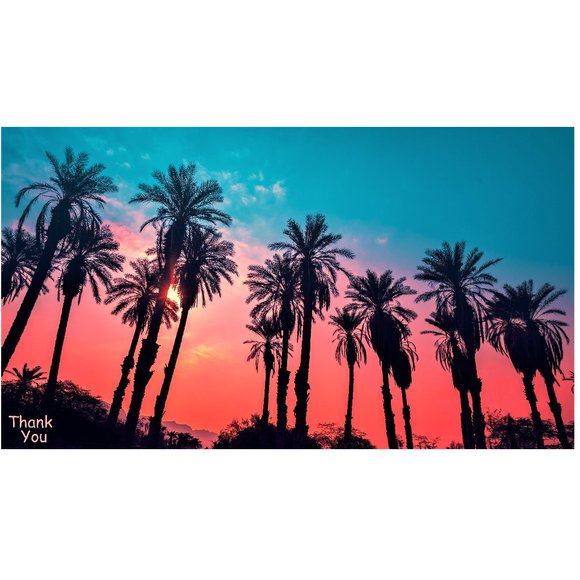 50 10X13 Poly Mailers Twilight Palms Shipping Envelopes PRICE IS FIRM - Picture 7 of 7